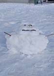 20230104_110544 (Large).jpg (354299 bytes)